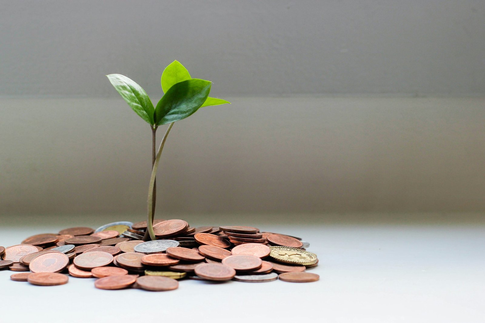 best tax saving investment in India 2025